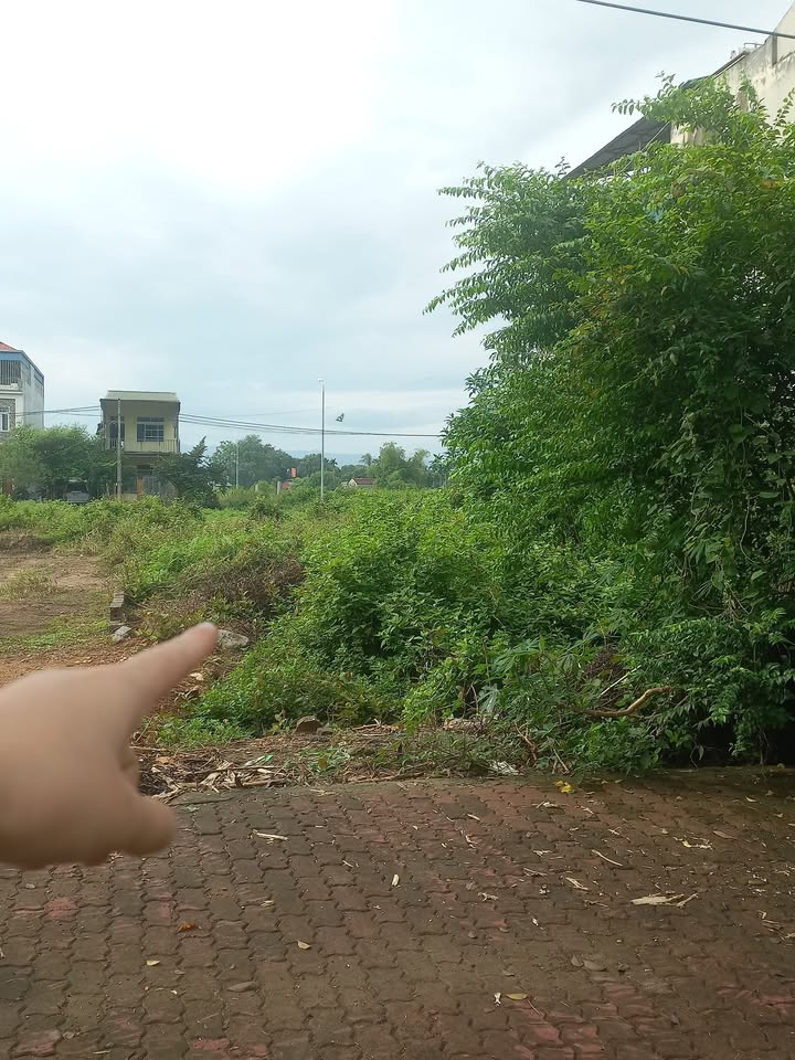 Đất nền dãy H1 mặt đường TL420, Thạch Thất 150m² - Cơ hội đầu tư tuyệt vời!