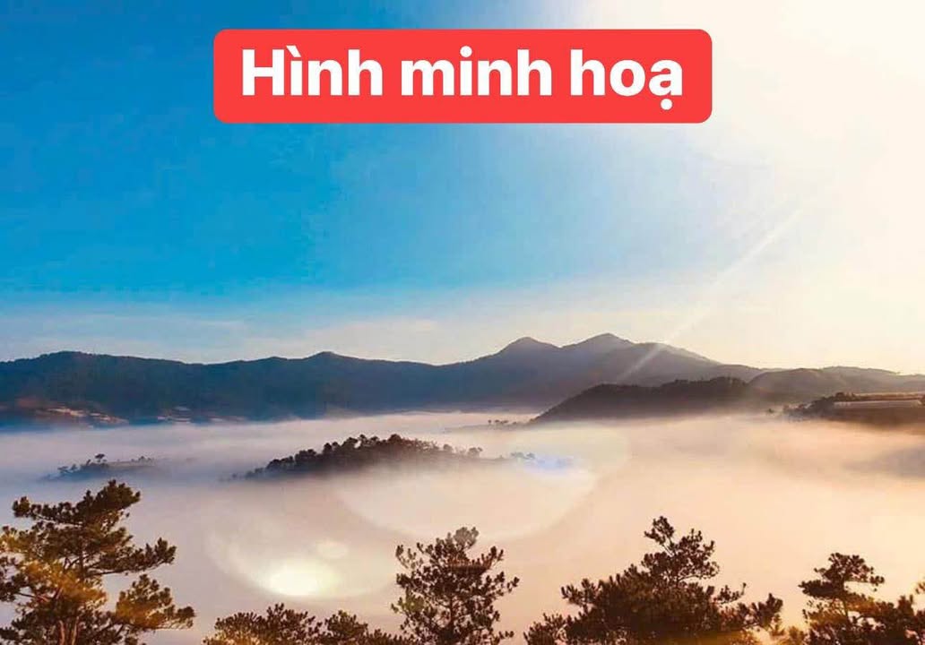 Đất ven Đà Lạt Đông Thanh 350m² giá 1 tỷ - Săn mây tại vị trí đẹp nhất!