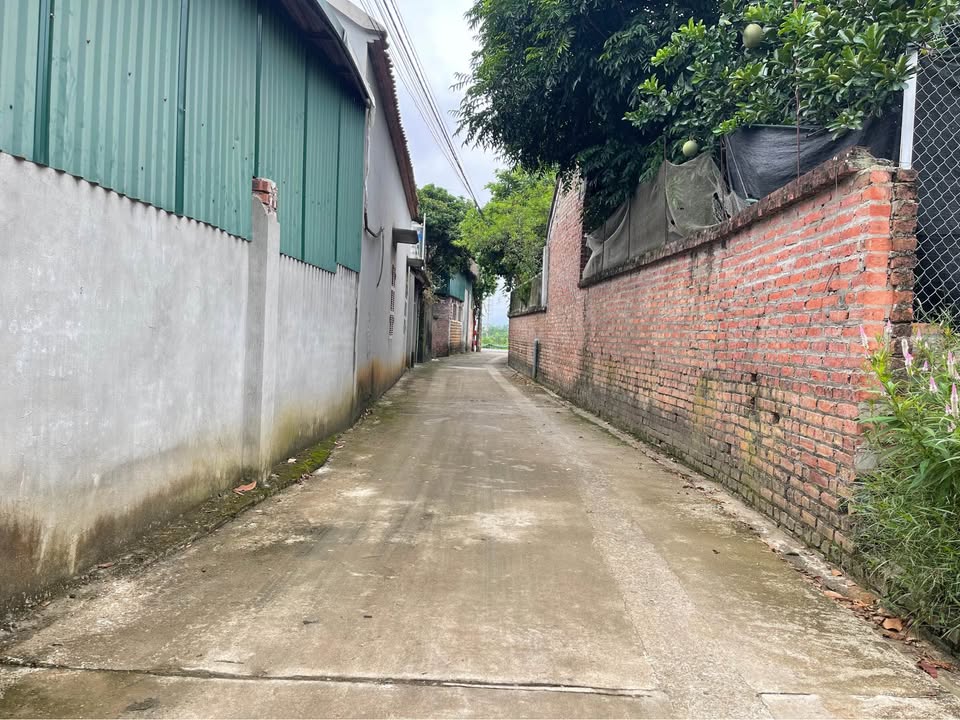 Đất nền Hạ Bằng 100m² - Full thổ cư, ô tô vào tận đất, giá thỏa thuận!