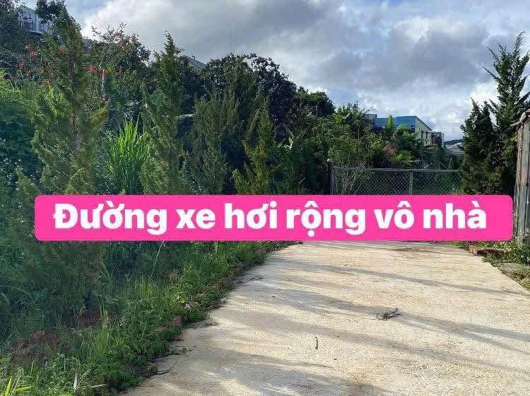 Đất nền Hẻm Hùng Vương, Đà Lạt 2000m² giá 10 tỷ - Đầu tư sinh lời cao!