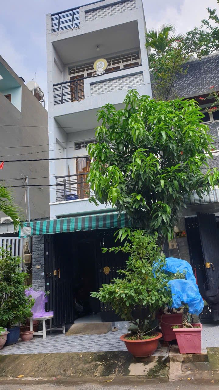 Nhà phố mặt tiền đường DC3, Bình Tân 56m² giá 8 tỷ - Đầu tư sinh lời ngay!