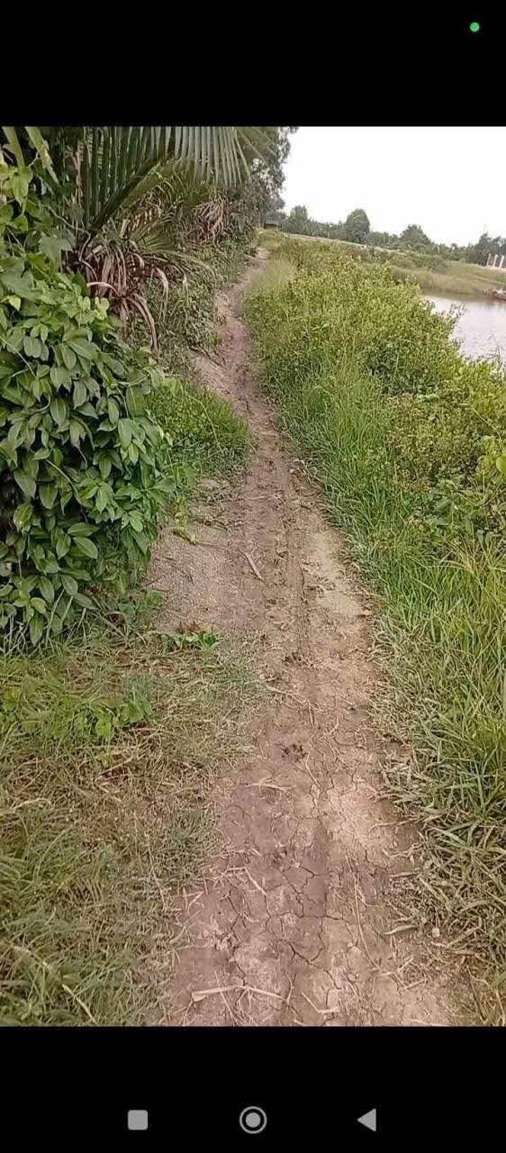 Đất Farm 4800m² xã Long Hựu Tây giá 1.608 tỷ - Cơ hội đầu tư tuyệt vời!