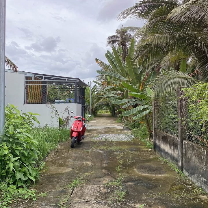 Đất nền Mỹ Thạnh An, Bến Tre 84m² giá 460 triệu - Đầu tư sinh lời ngay!