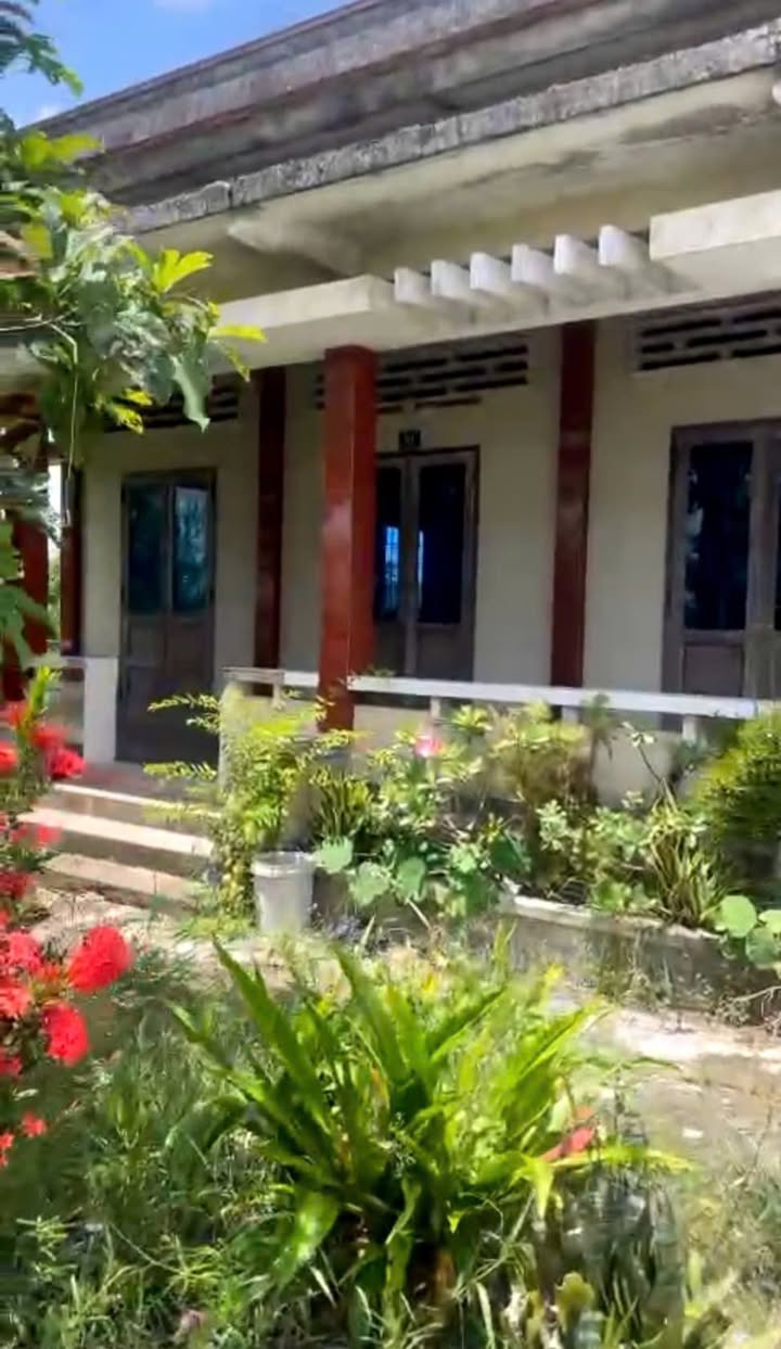 Nhà cấp 4 xã Nhựt Ninh, Tân Trụ 617m² giá 1.6 tỷ - Đường ô tô thoải mái!