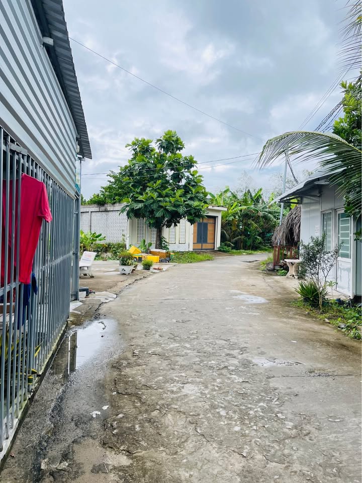 Đất nền thổ cư đường Vườn Mận, Cần Thơ, 87m² chỉ 1.65 tỷ - Sổ hồng chính chủ!