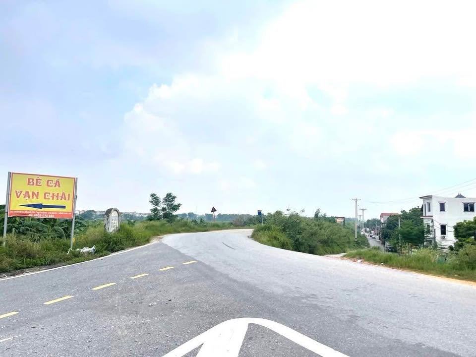 Đất thổ cư Đại Mạch, Đông Anh 45.7m² chỉ 2 tỷ - Vị trí đắc địa, tiềm năng sinh lời!