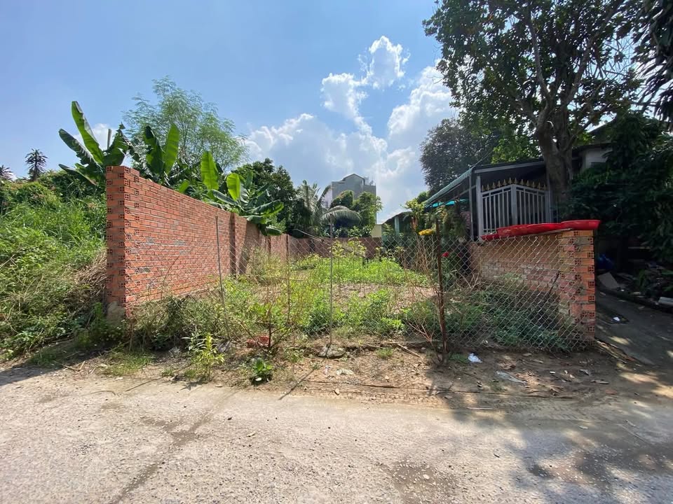 Đất sổ đỏ 110m² Hiệp Hòa Biên Hòa giá 3.99 tỷ - Đầu tư sinh lời ngay!