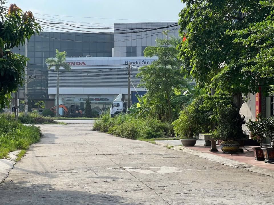 Đất Nền Hướng Nam Ninh Bình 100m² giá 3 tỷ - Vị trí đắc địa gần TT Thương Mại!