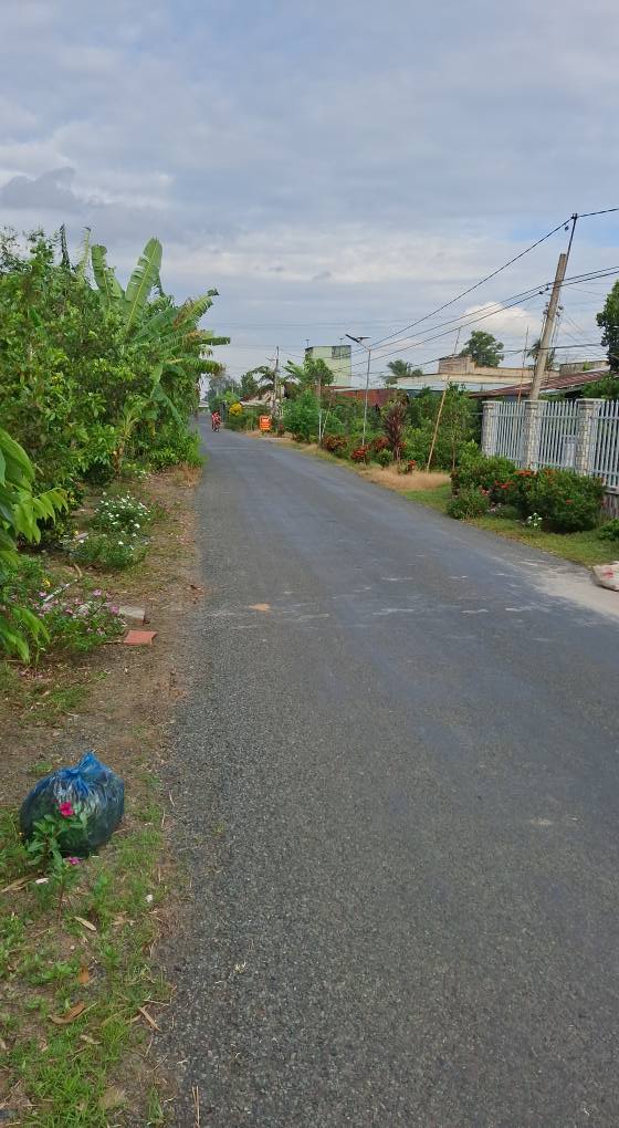 Đất thổ cư đường Huyện Lộ 59B, xã Thạnh Lộc, 229.5m² giá 1.4 tỷ - Đầu tư sinh lời!