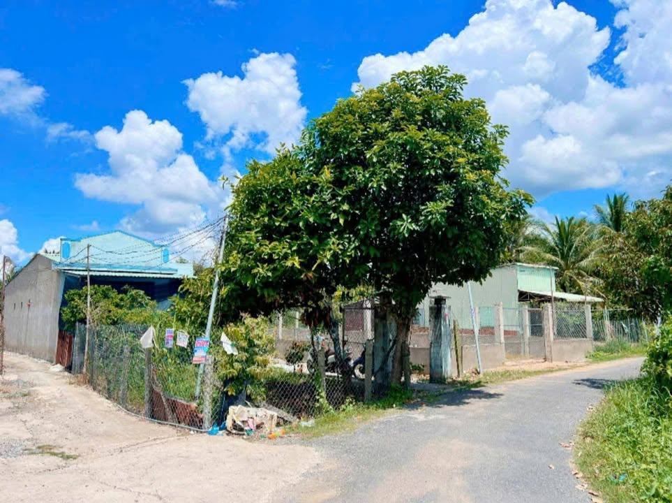 Nhà cấp 4 595m² mặt tiền đường nhựa tại Cai Lậy - Giá 1,1 tỷ VND