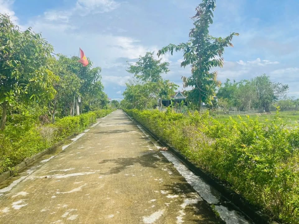 Đất nền thôn Đông Nam, Thạch Bình 163m² giá 1.6 tỷ - Cơ hội đầu tư sinh lời!