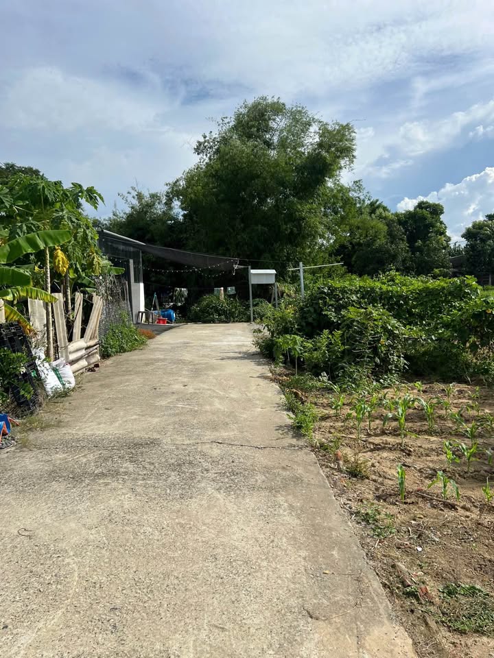 Đất nền Nhơn Thọ 1, Hòa Xuân, Đà Nẵng 146m² giá 1.78 tỷ - Sổ hồng chính chủ, hỗ trợ vay tối đa!