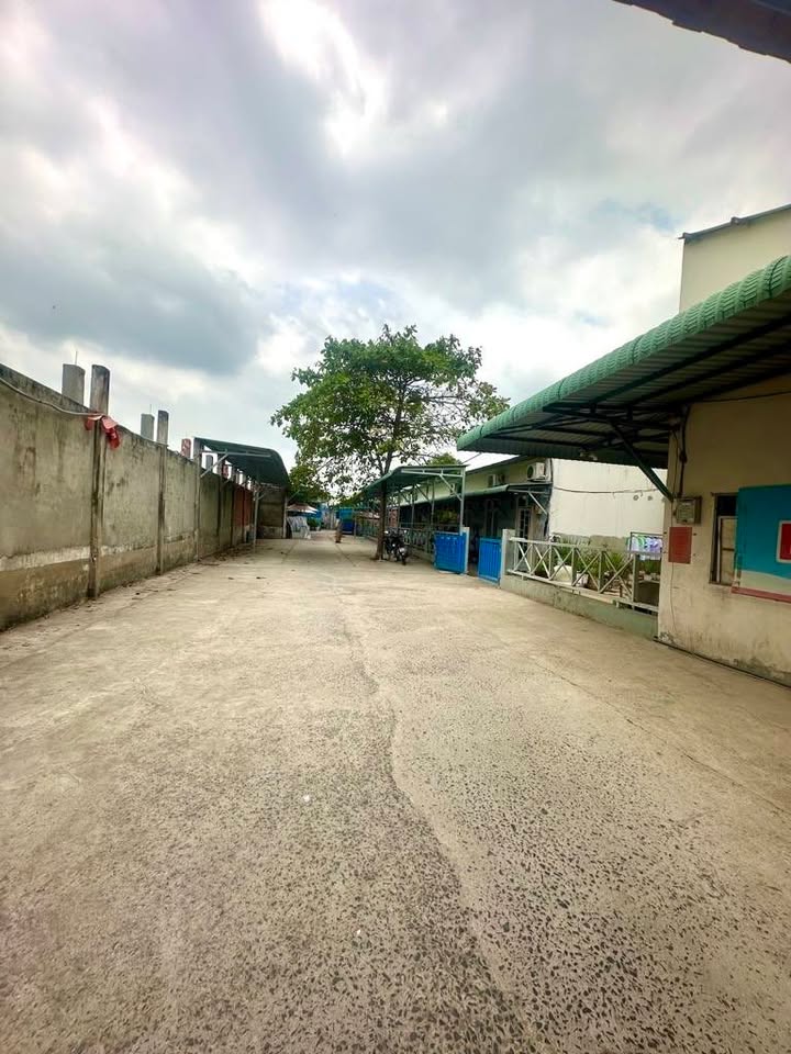 Dãy trọ hẻm xe hơi Nguyễn Thị Thập Quận 7 2000m² giá 44 tỷ - Đầu tư sinh lời cao!