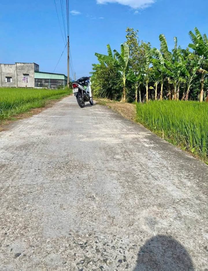 Đất nền Phường Hàm Thắng 1000m² giá 1.25 tỷ - Mặt tiền đường ô tô