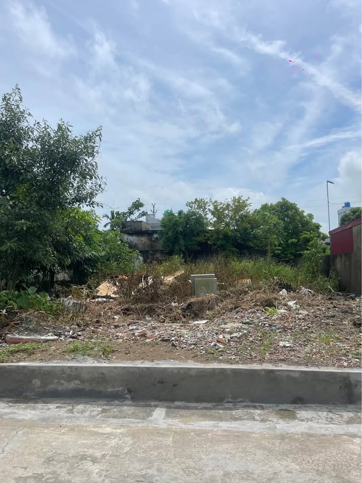 Đất nền Thôn Lương Điền, xã Đông Cơ, Tiền Hải - 70,8m² giá 500 triệu - Đầu tư tiềm năng!