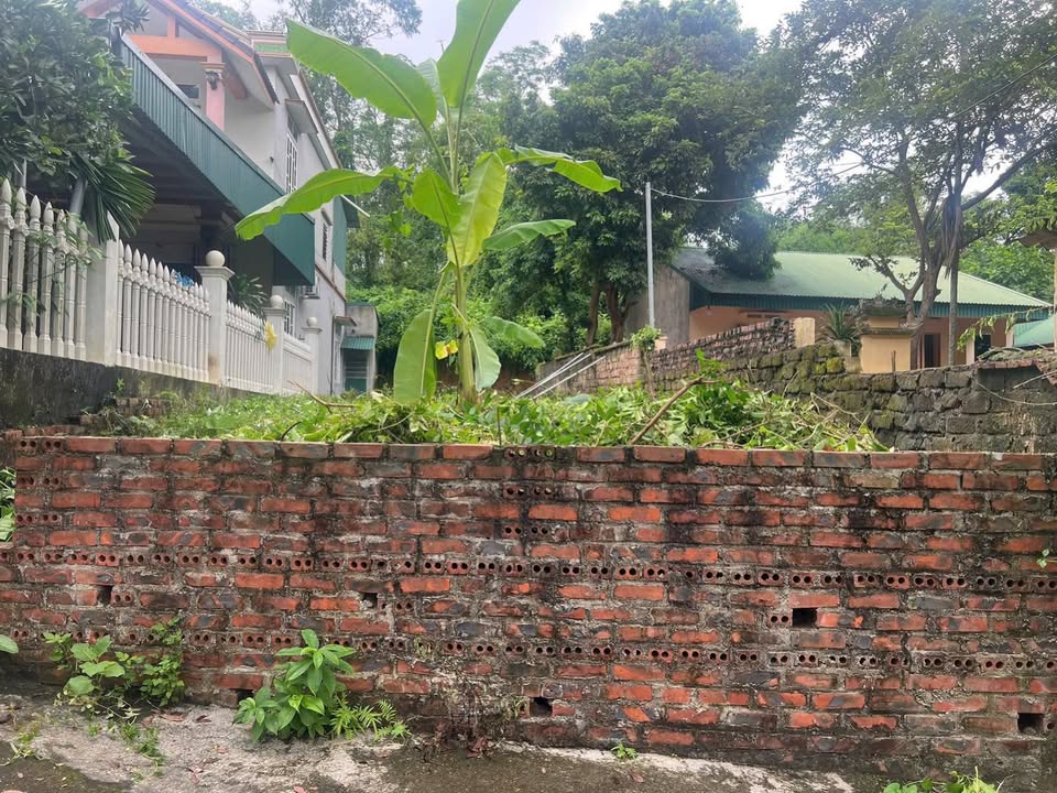 Đất nền đường Phượng An, Vân Phú 120m² giá 2 tỷ - Sổ hồng chính chủ, xây dựng tự do!