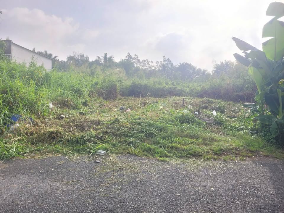 Đất chính chủ hẻm 47 Trường Lưu, Thủ Đức 117m² giá 4.9 tỷ - Pháp lý rõ ràng!