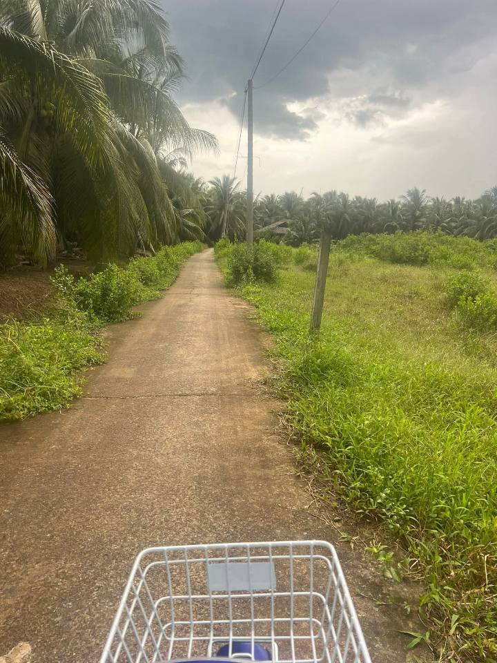 Đất nền Thới Lai, Bình Đại 400m² giá 375 triệu - Sổ đỏ chính chủ