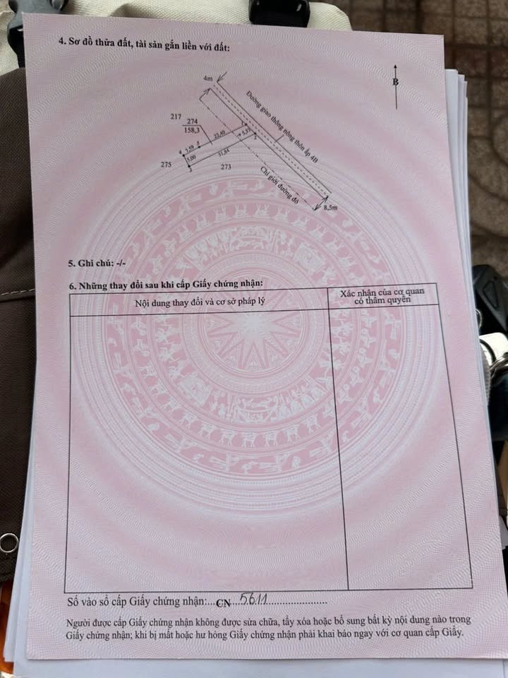 Đất thổ cư 158m² Đường Đan, Tân Trạch, Cần Đước, 1.05 tỷ - Cơ hội đầu tư tốt!