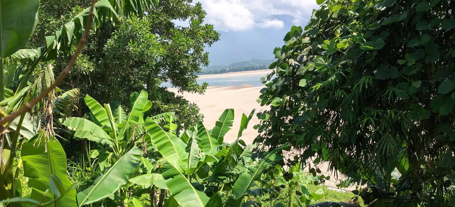 Đất nền Yên Sơn Phú Thọ 651m² giá 1,5 tỷ - Bám sông Đà, view núi Ba Vì