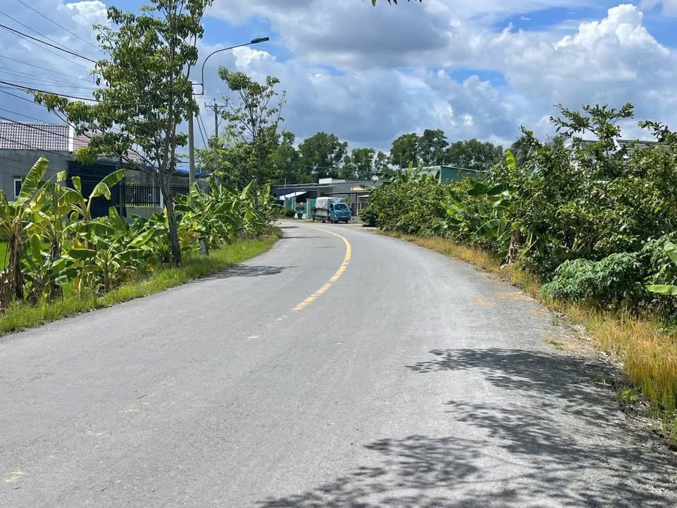 Đất nông nghiệp 200m² tại An Thạnh, Bến Lức - Giá chỉ 900 triệu, thích hợp đầu tư!