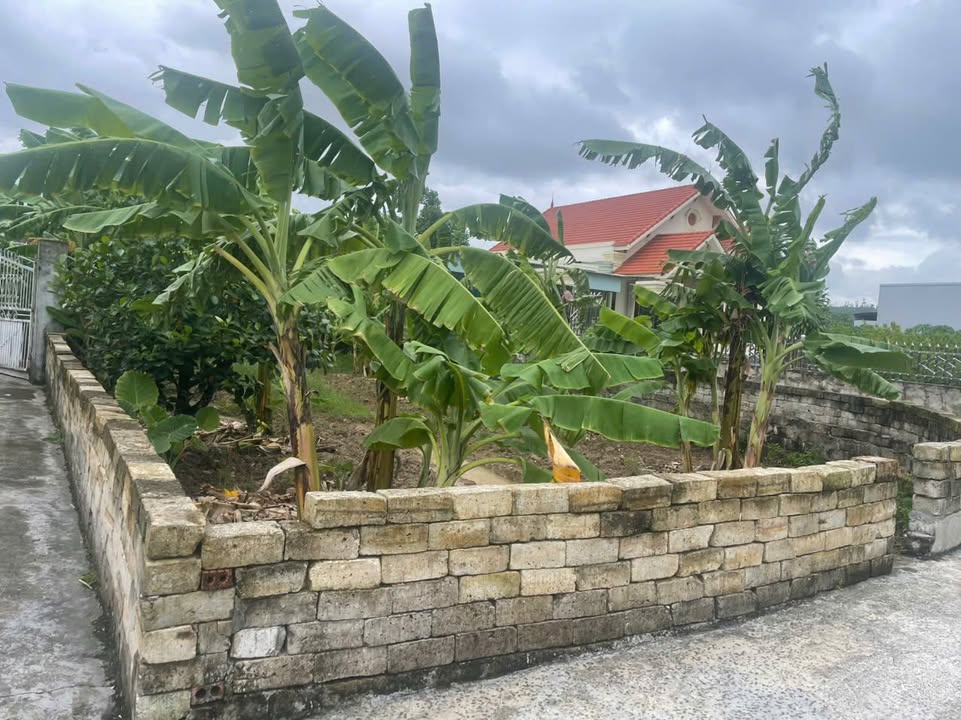 Đất nền thôn Kỳ Sơn, xã Việt Khê, 289m² giá chỉ 900 triệu - Cơ hội đầu tư hấp dẫn!