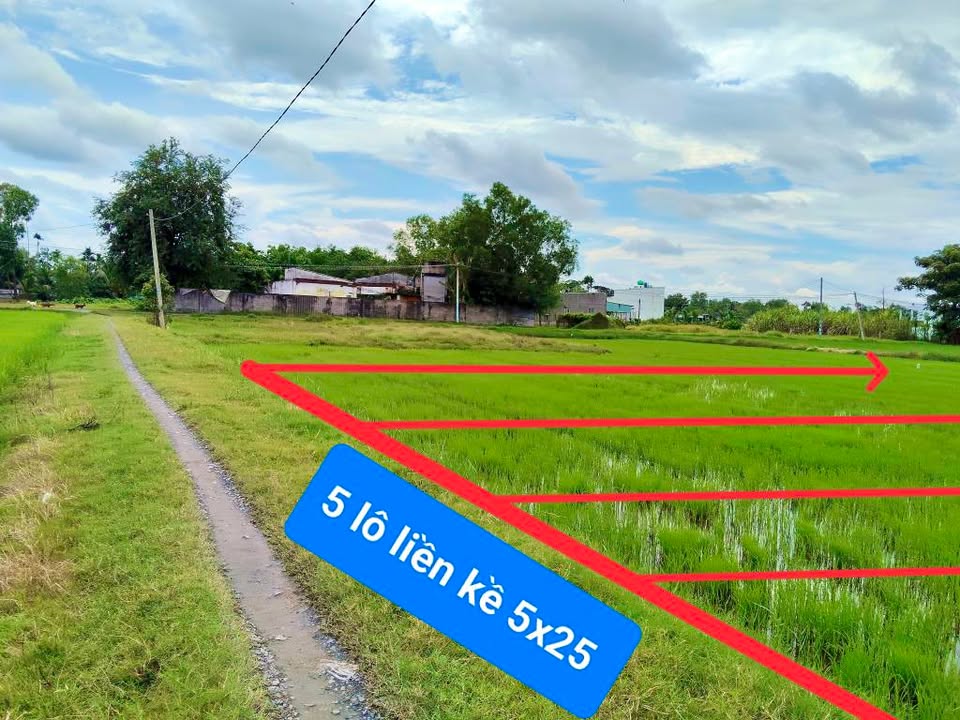 Đất nền Hòa Khánh Đông, Đức Hòa 125m² giá chỉ 550 triệu - Cơ hội đầu tư tuyệt vời!