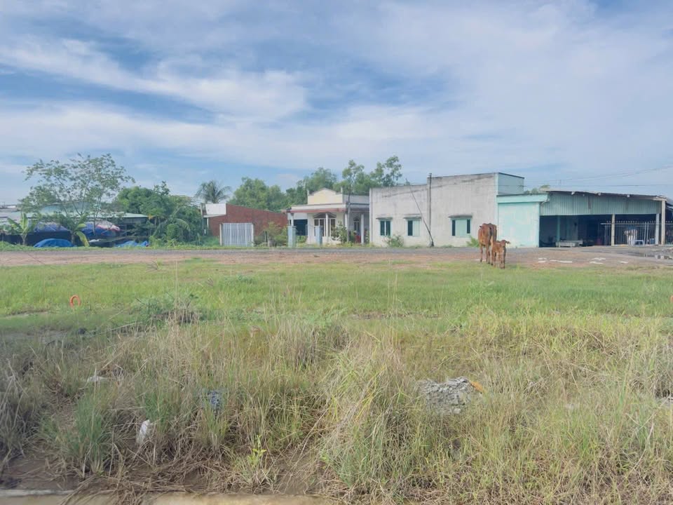 Đất nền tái định cư đường Động Lực 823D, xã Mỹ Hạnh 85m² giá 3.05 tỷ - Cơ hội đầu tư hấp dẫn!