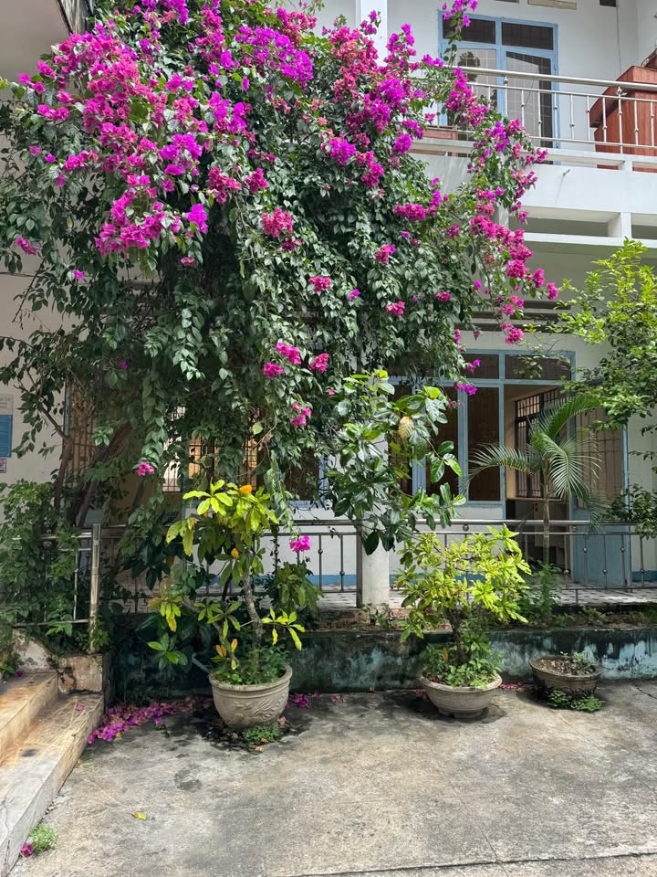 Phòng cho thuê tại 78 Ngô Sĩ Liên, Quảng Ngãi - Không gian rộng rãi, thoáng mát!