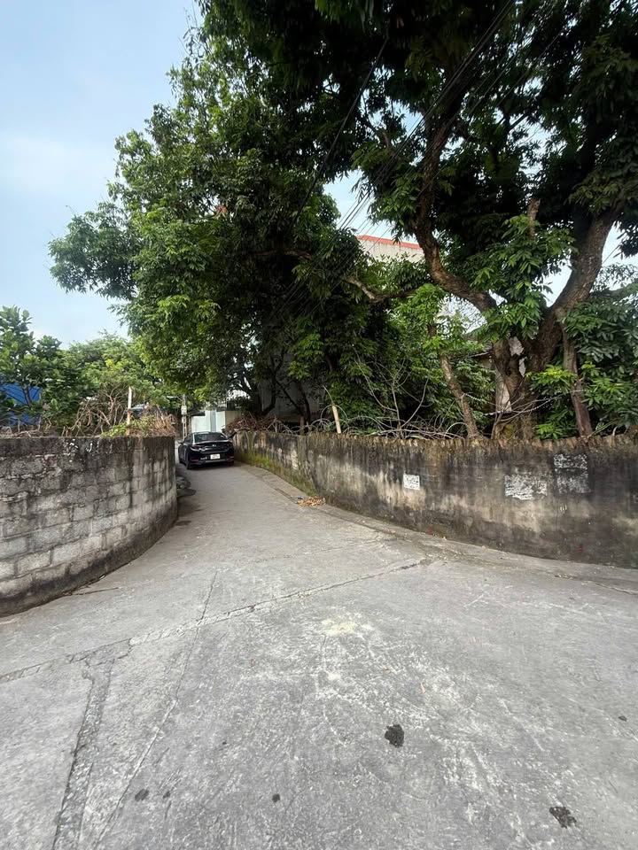 Đất nền thôn Yến Đô, xã Tân Việt, Hưng Yên - Giá chỉ từ 1.5 tỷ - Mặt tiền lô góc