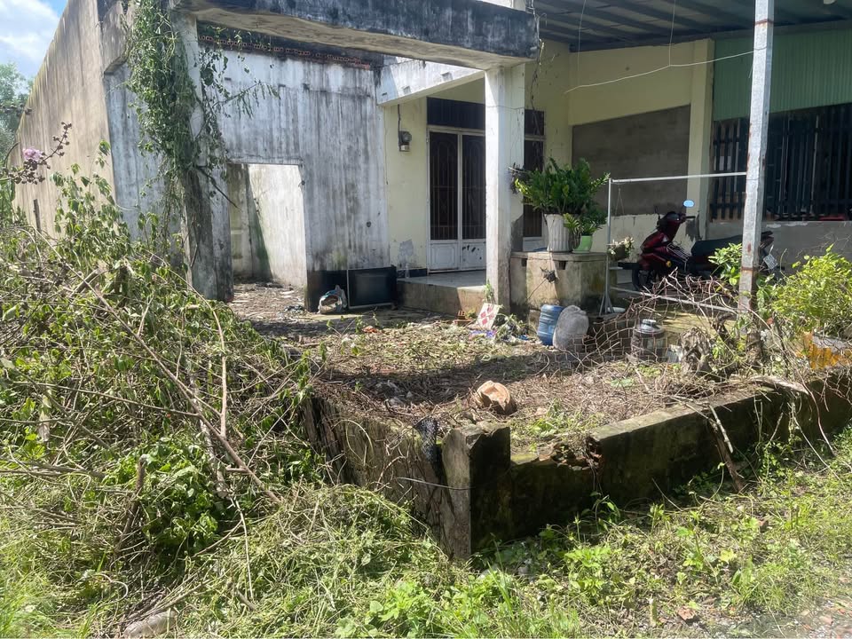 Đất thổ cư 88m² tại Bình Tiền 1, Đức Hòa - Sổ hồng riêng, giá 730 triệu