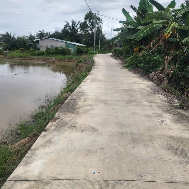 Đất nền 1.000m² giá chỉ 350 triệu tại xã Mỹ Thạnh - Cơ hội đầu tư tuyệt vời!