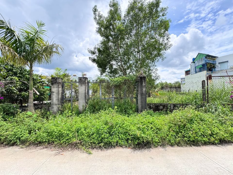 Đất thổ cư Đức Hòa Đông 1955m² giá 10 tỷ - Đầu tư sinh lời lý tưởng!