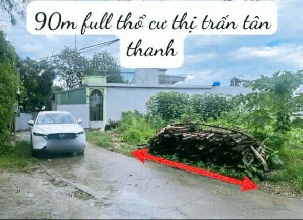 Đất thổ cư 90m² Tân Thanh, Thanh Liêm chỉ 800 triệu - Sẵn sàng đầu tư ngay!