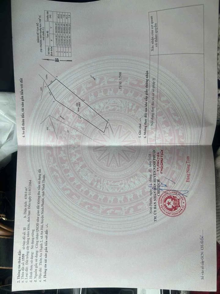 Đất nền An Thạnh 2, Ninh Phước 458m² giá 700 triệu - Gần nhiều tiện ích!