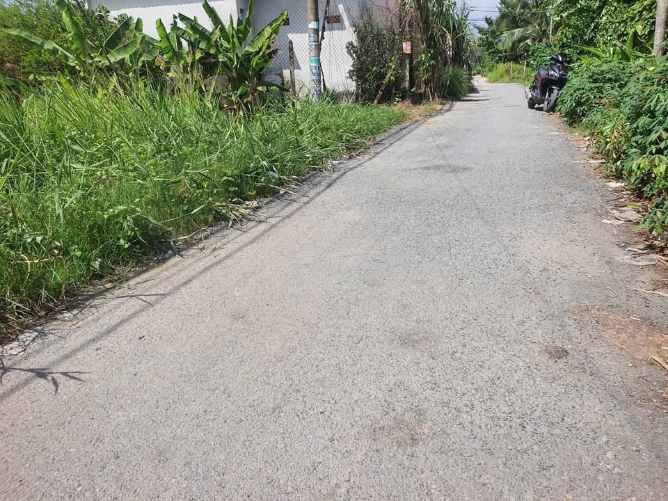 Đất thổ cư 308m² đường 181, Bình Mỹ, Củ Chi - Giá chỉ 4.25 tỷ, cơ hội đầu tư tuyệt vời!