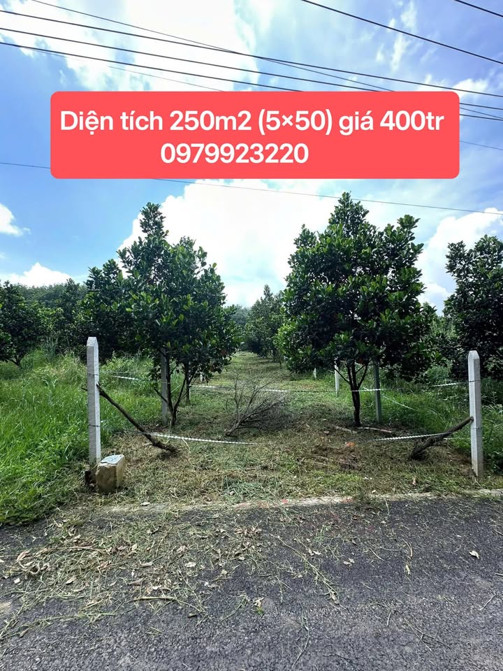 Đất nền Phú Giáo Bình Dương 250m² - Sổ hồng chính chủ, giá thỏa thuận!