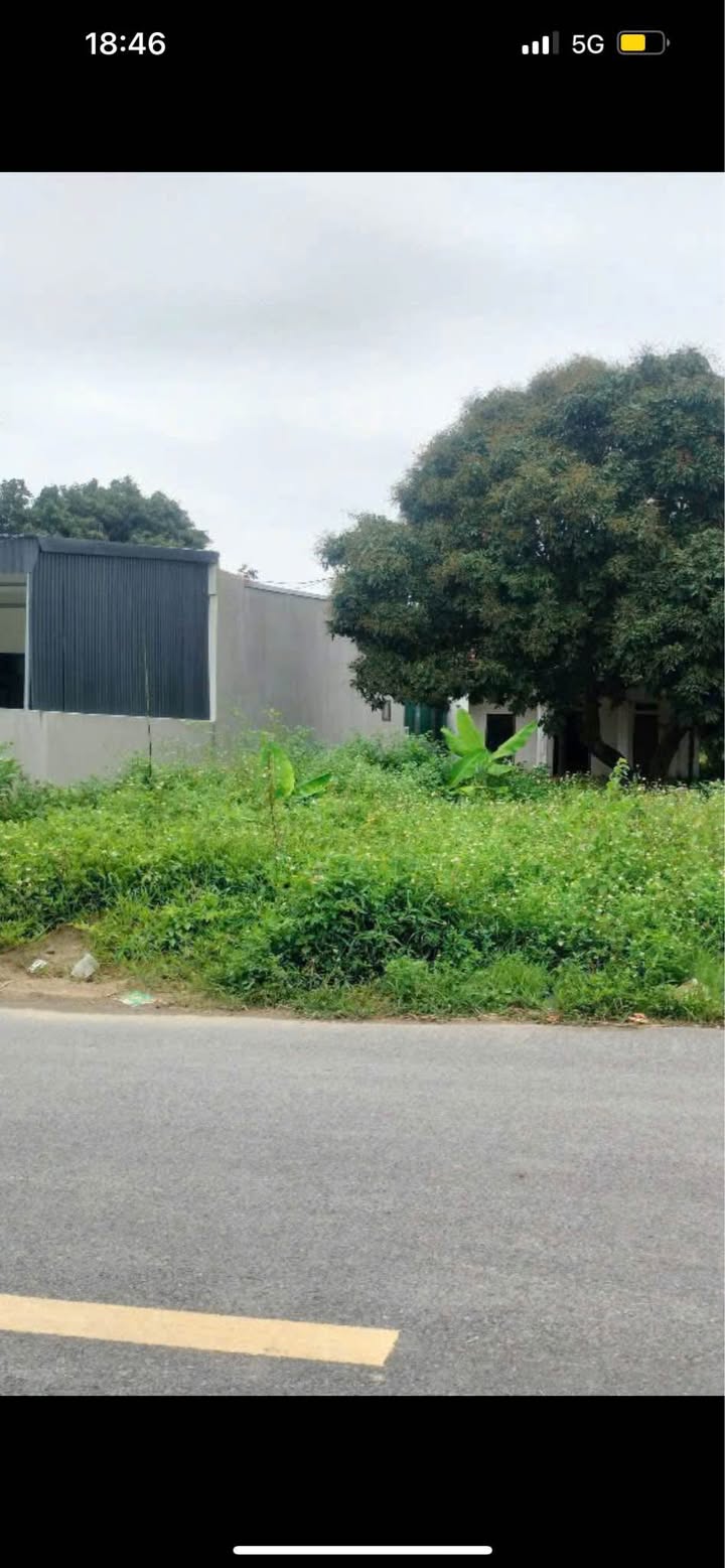 Đất thổ cư 800m² tại Lưu Vệ, Quảng Xương - Giá chỉ 5 tỷ, thương lượng!