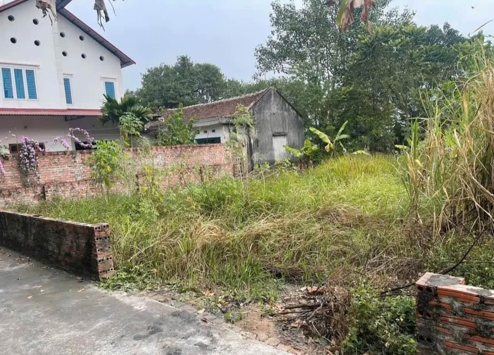 Đất nền thổ cư Ninh Cầm, Tân Dân, Sóc Sơn 65,7m² giá 900 triệu - Đầu tư sinh lời ngay!