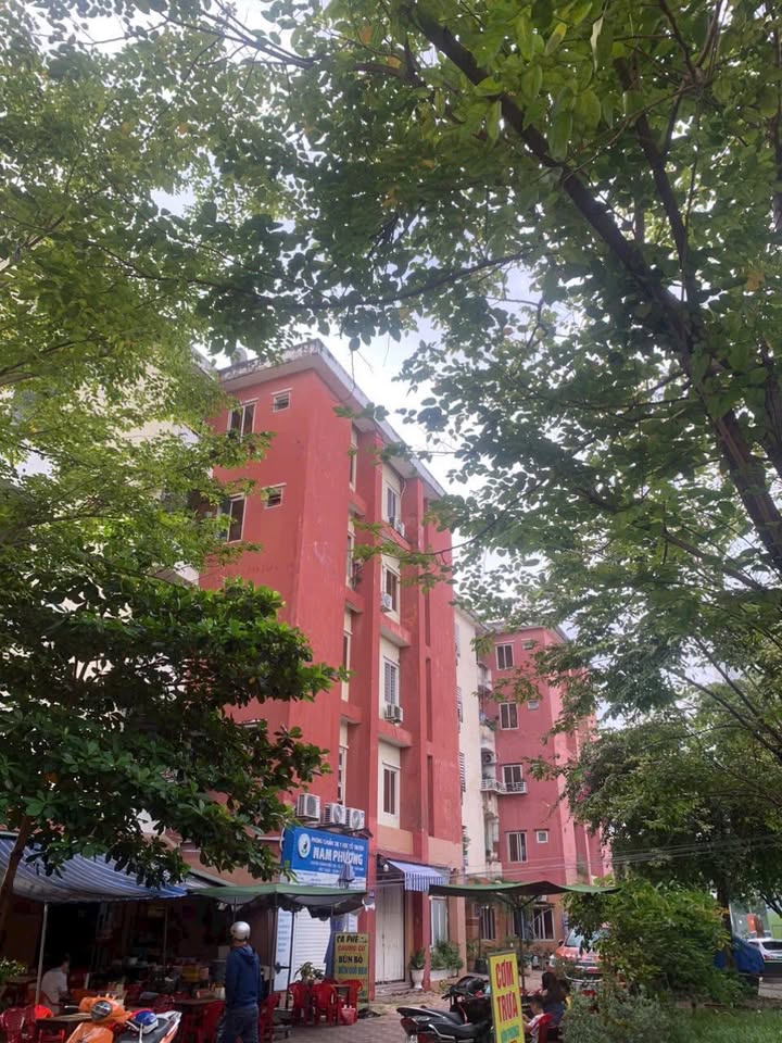 Căn hộ chung cư An Sương Quận 12 52m² giá 1.6 tỷ - Sổ hồng riêng, bớt lộc cho khách thiện chí!