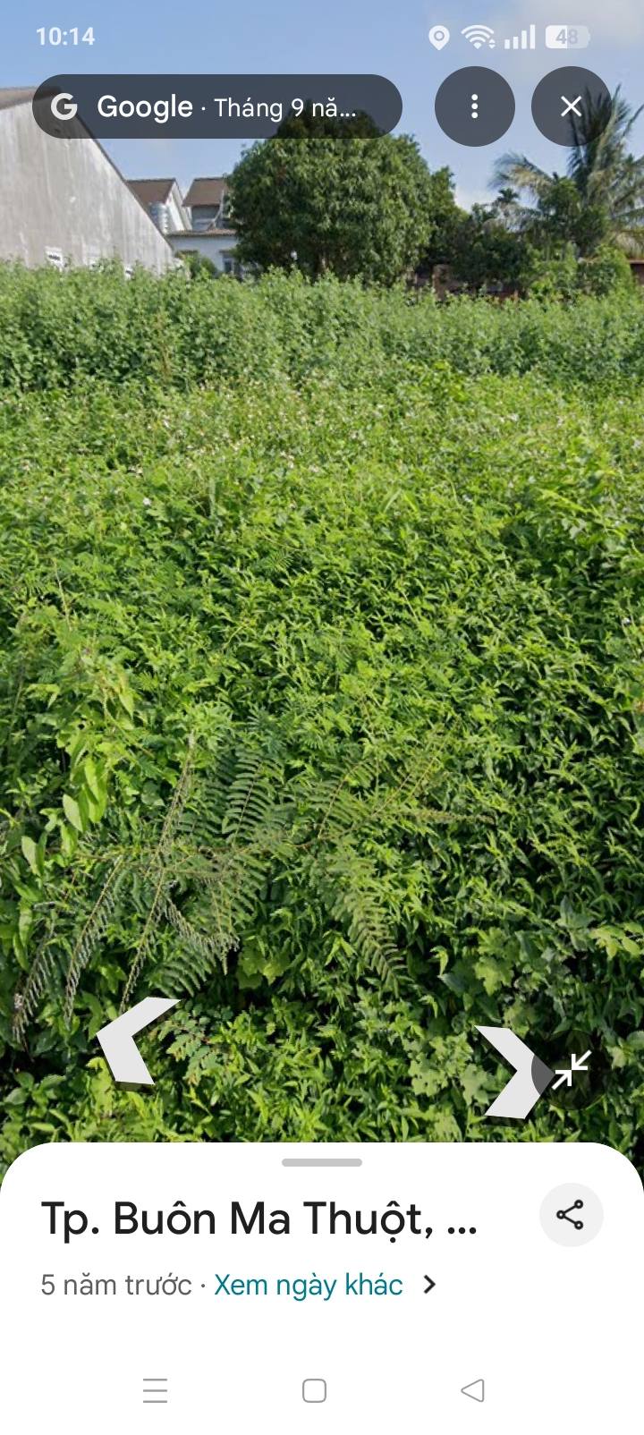 Đất Y Moan, phường Buôn Ma Thuột 175m² giá 1,7 tỷ - Cơ hội đầu tư hấp dẫn!