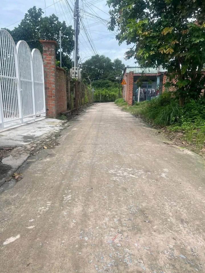 Đất Tân An, Thủ Dầu Một 198m² giá 2 tỷ - Cơ hội đầu tư tuyệt vời!