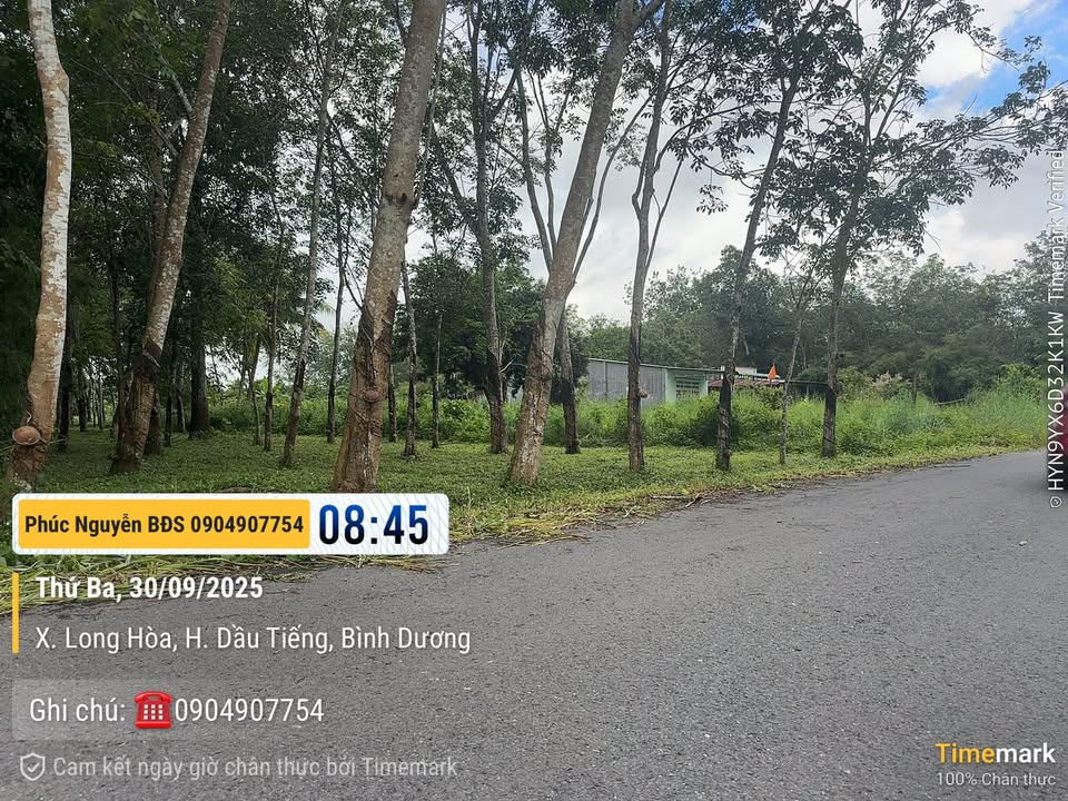 Đất nông nghiệp Long Hòa Dầu Tiếng 4819m² giá 2.4 tỷ - Đầu tư sinh lời hấp dẫn!