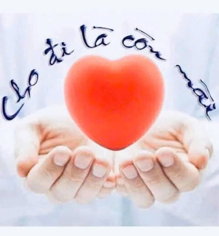 FrontHouse Hồng Bàng 113.12m² giá 29.5 tỷ - Vị trí đắc địa kinh doanh