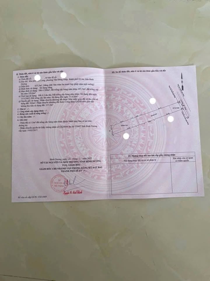 Đất nền Tân Đông Hiệp 637,5m² giá 9 tỷ - Gần chợ và sân bóng