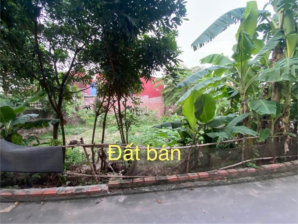 Đất thổ cư Kim Chung Đông Anh 58m² giá 2.8 tỷ - Pháp lý rõ ràng, đầu tư sinh lời!