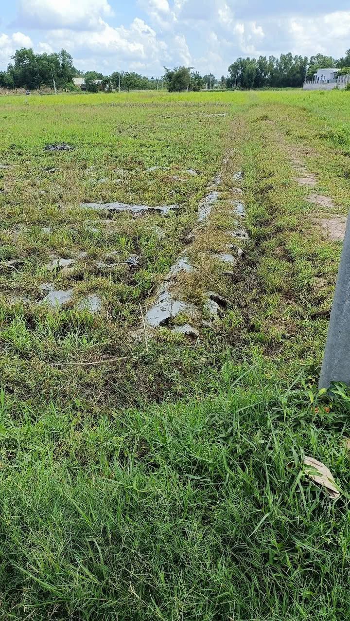 Đất nền 2000m² tại ấp Sò Đò, Hậu Nghĩa - Giá chỉ 2.5 tỷ, tiện ích đầy đủ!