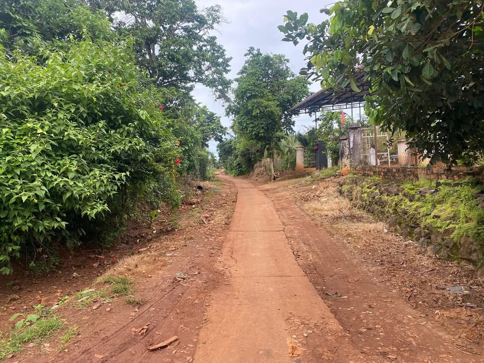 Đất nền Phú Lộc, Krông Năng 2880m² giá 1.799 tỷ - Đầu tư sinh lời nhanh chóng!