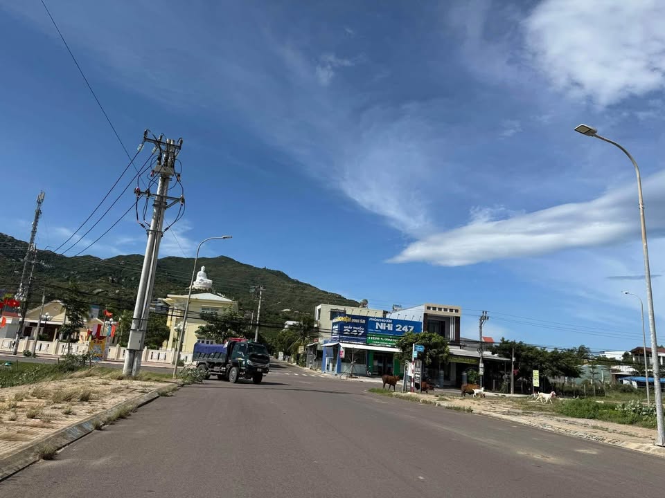 Đất mặt tiền Lý Nhân Tông, Quy Nhơn 100m² giá 3 tỷ - Vị trí kinh doanh lý tưởng!