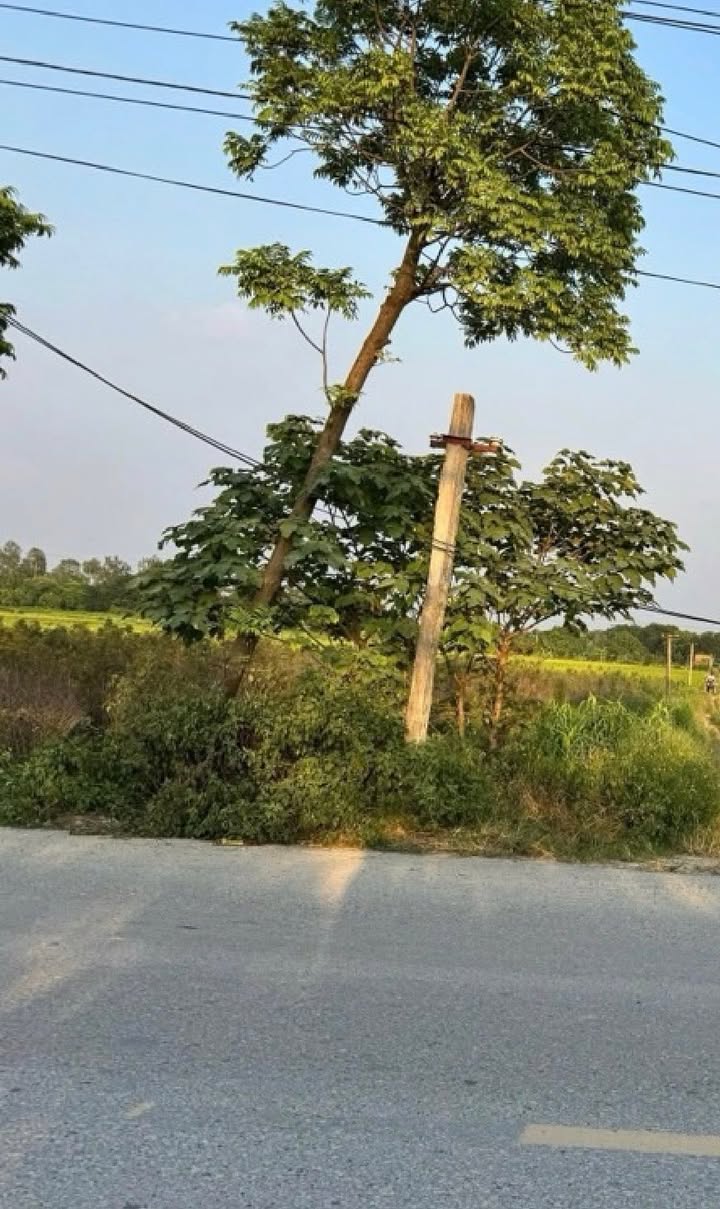 Đất nông nghiệp 1000m² tại Vân Nội, Đông Anh - Gần TP Thông Minh chỉ 1.2 tỷ!